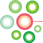 Punjab Population Innovation Fund (PPIF)